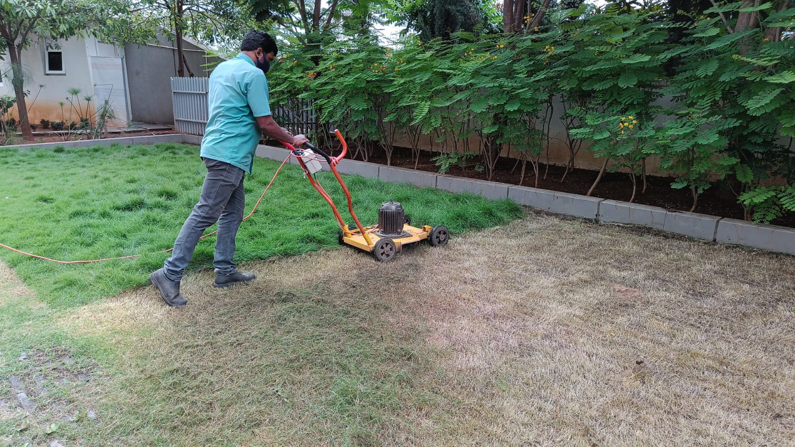 Lawn Mowing