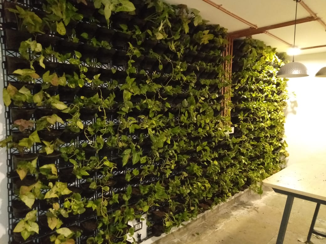 Vertical Green Wall