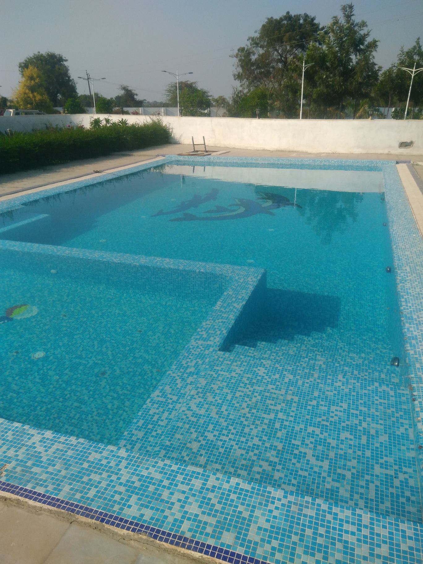 Mosaic Pool Tiles