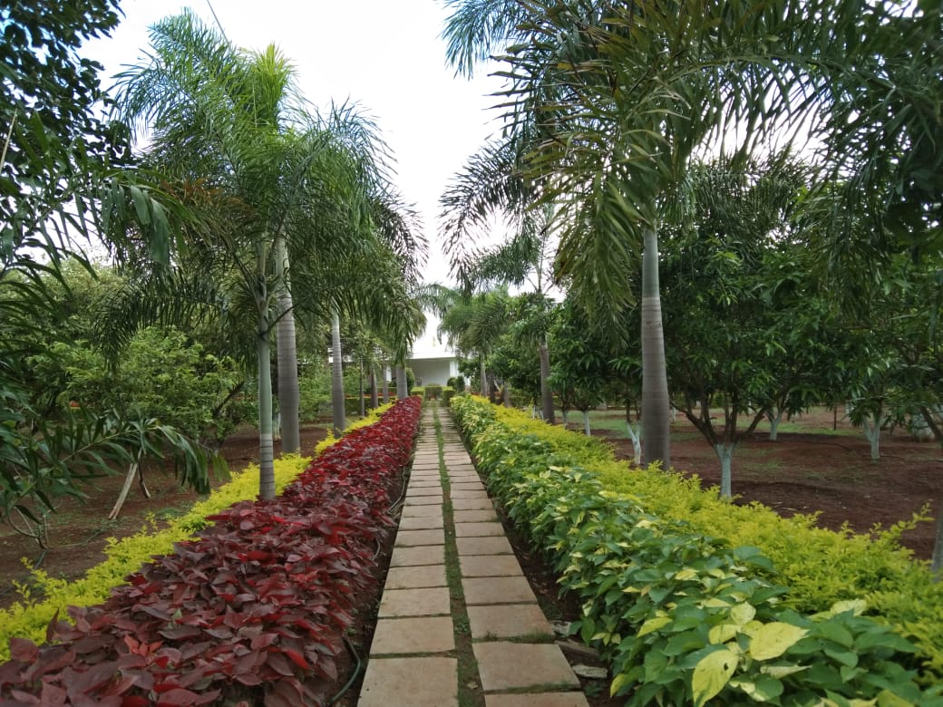 Landscaping